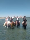 HORSEBACK RIDING IN HURGHADA (1 HOUR $ 15, 2 HOURS $22)